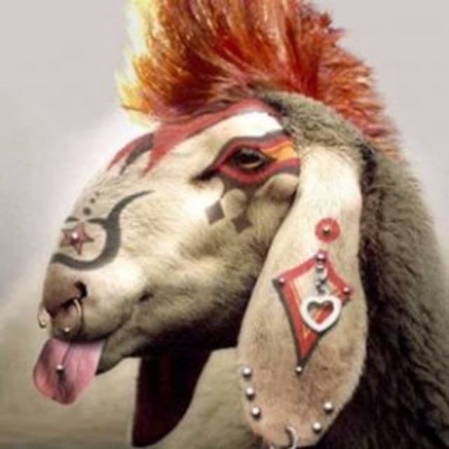 Name:  Goat.jpg
Views: 339
Size:  41.6 KB