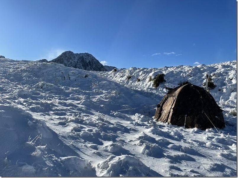 Name:  2021 May - Tahr Hunt - Southern Alps NZ_5.jpg
Views: 455
Size:  177.1 KB