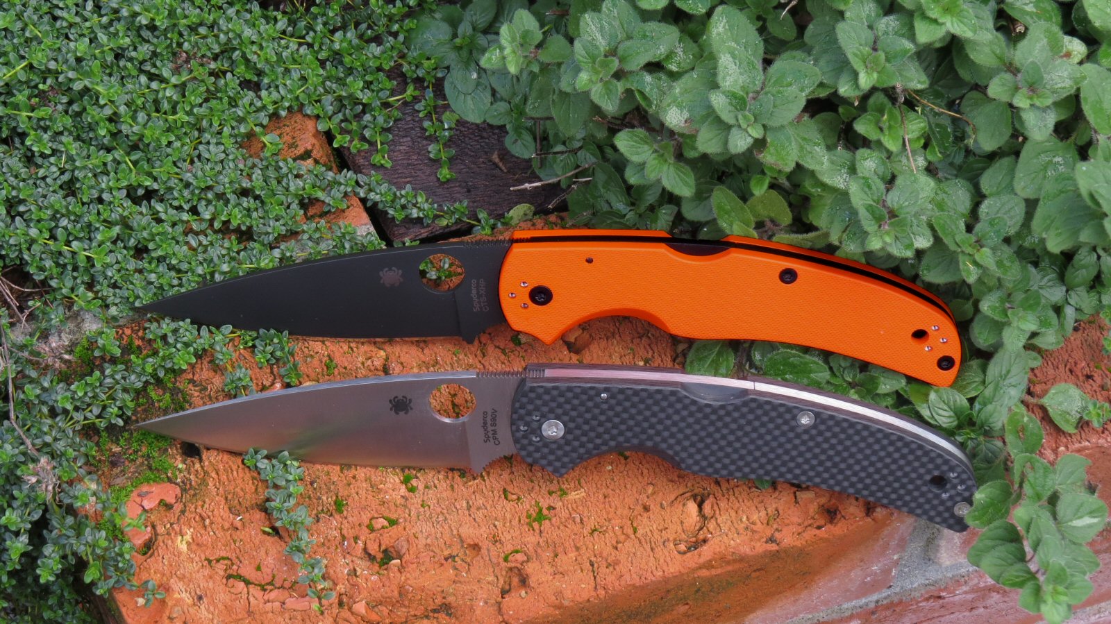 Name:  two chiefs reduced size.jpg
Views: 370
Size:  391.9 KB