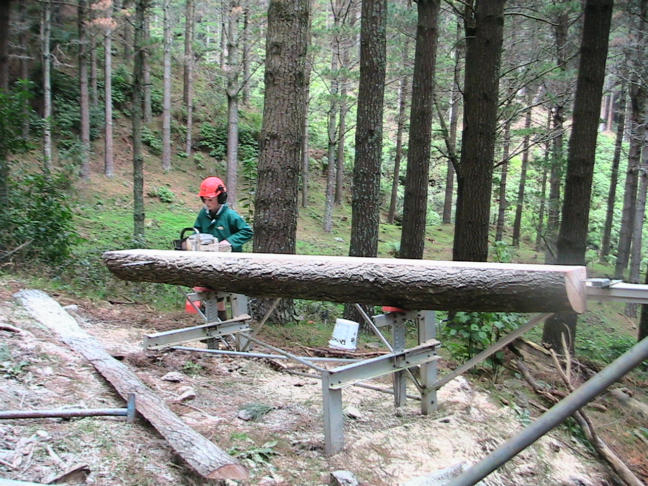Name:  IMG_0539.JPG
Views: 586
Size:  637.6 KB