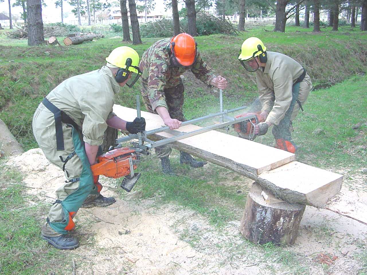 Name:  Double ended chainsaw.JPG
Views: 615
Size:  178.5 KB