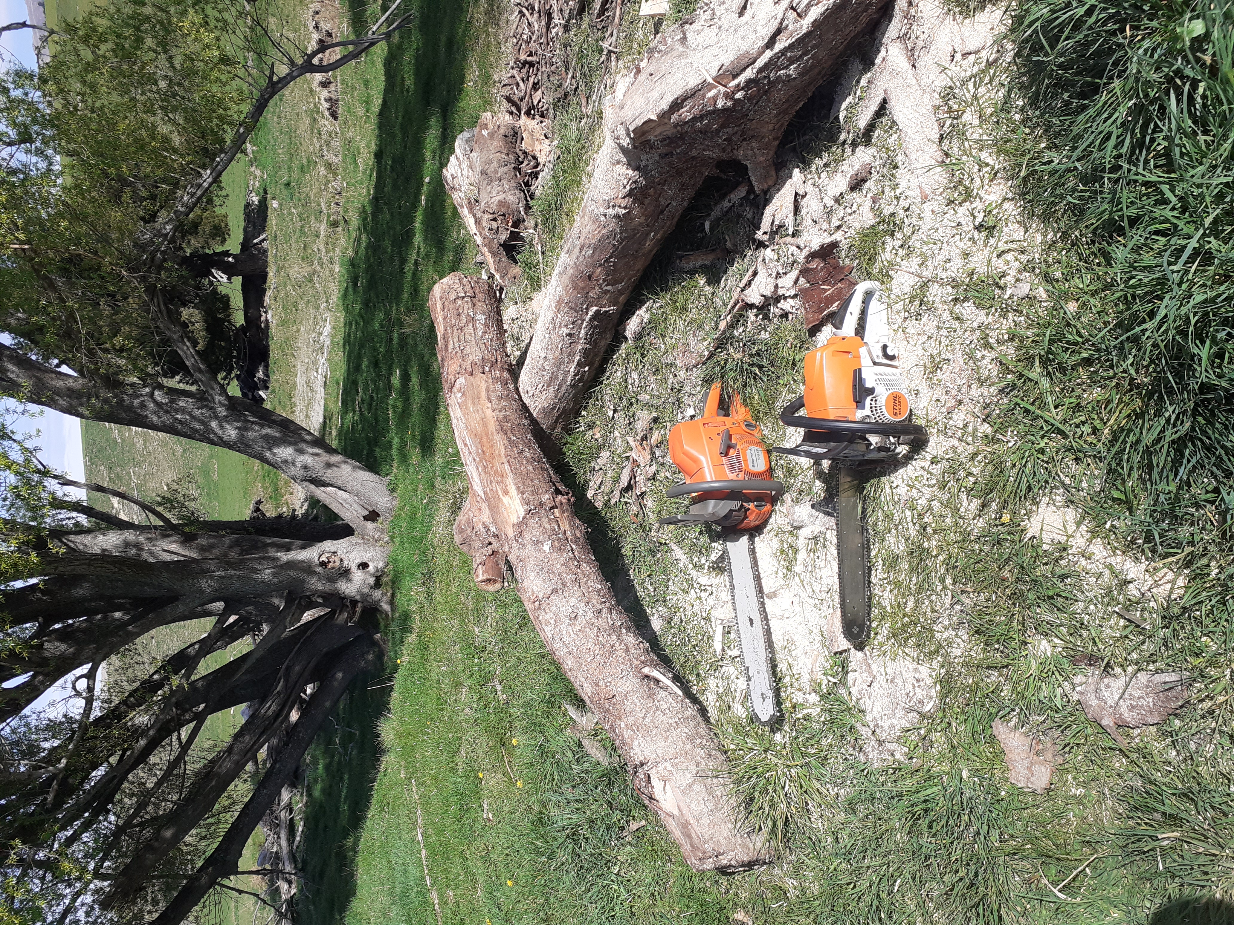 Name:  The saws posing.jpg
Views: 569
Size:  7.16 MB