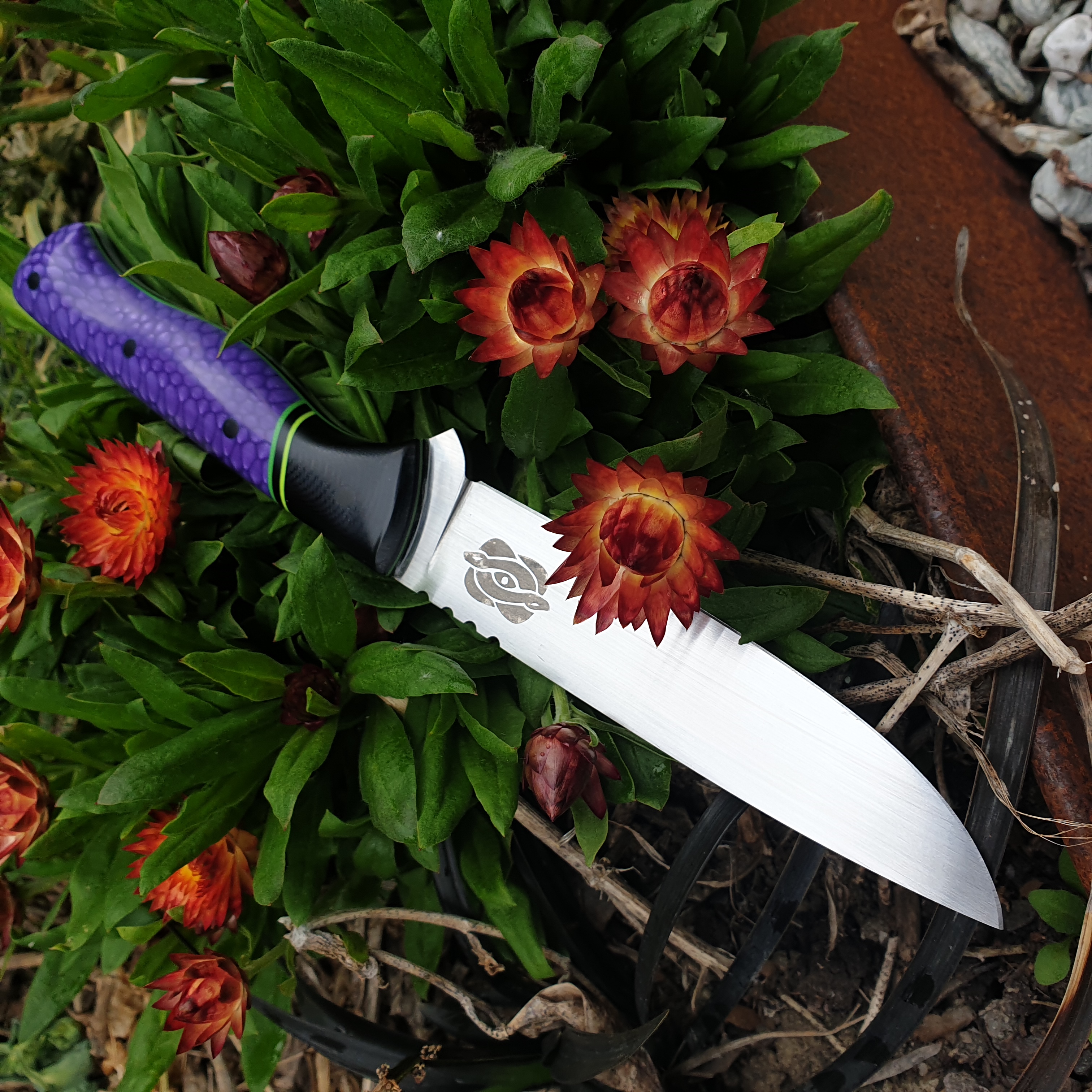 Name:  purple Mamba.jpg
Views: 591
Size:  2.77 MB