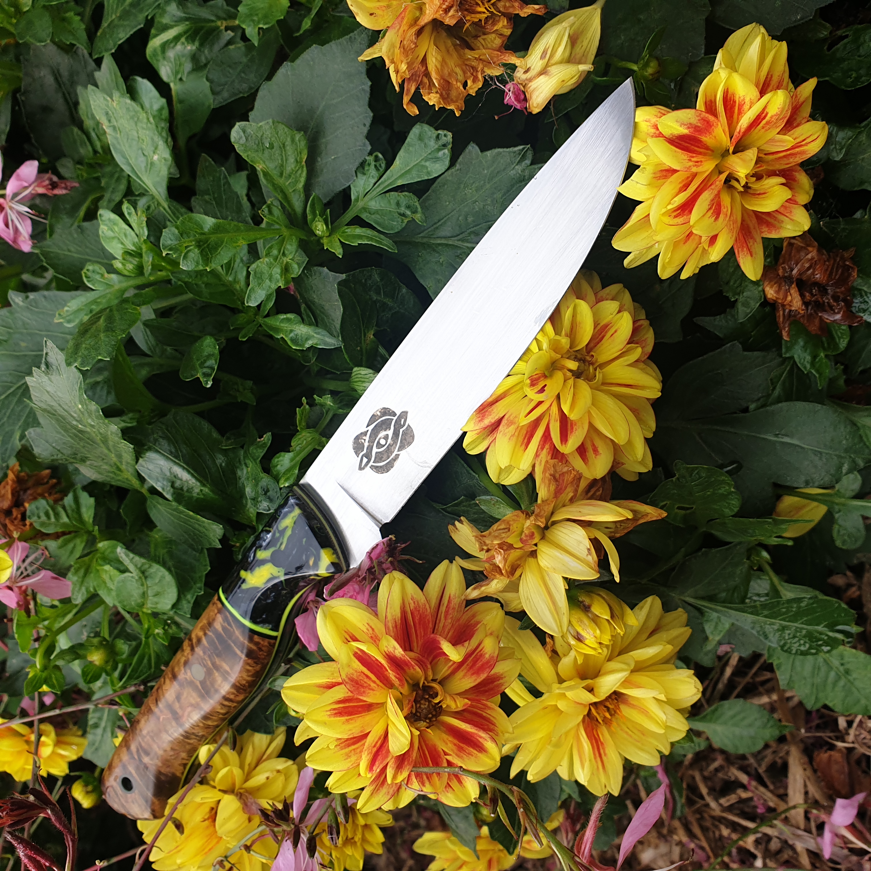 Name:  Ben knife 1.jpg
Views: 574
Size:  3.16 MB