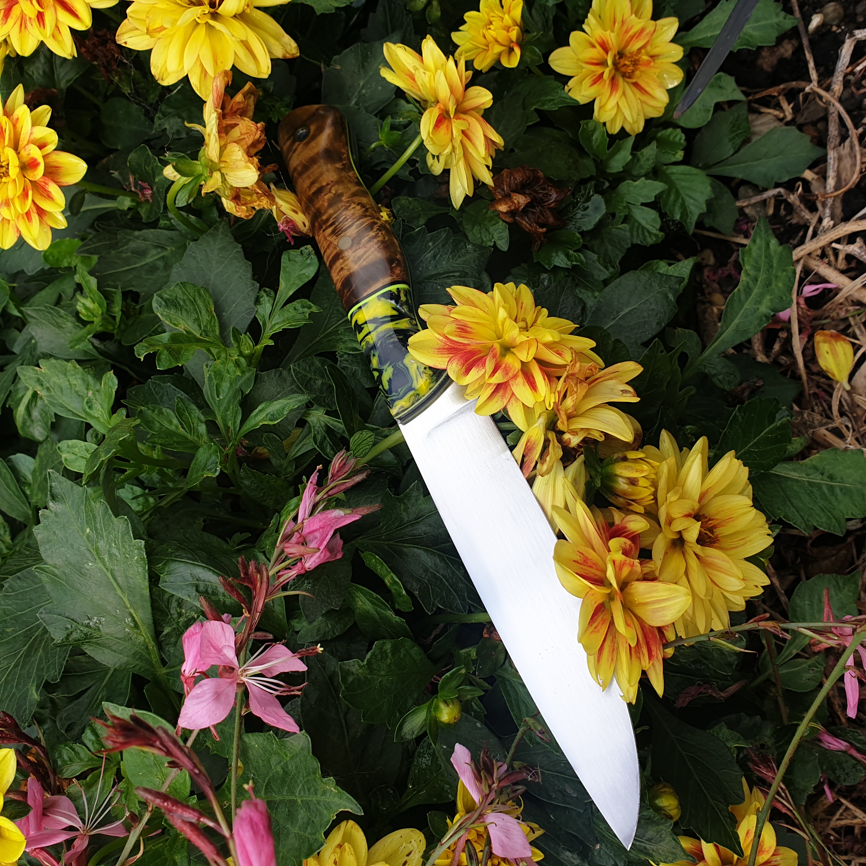 Name:  Ben knife 2.jpg
Views: 533
Size:  3.20 MB