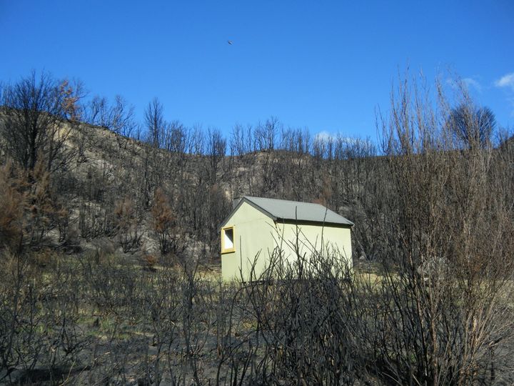 Name:  Broken River Hut, outside camp fire the cause, March 2021..jpg
Views: 901
Size:  84.2 KB