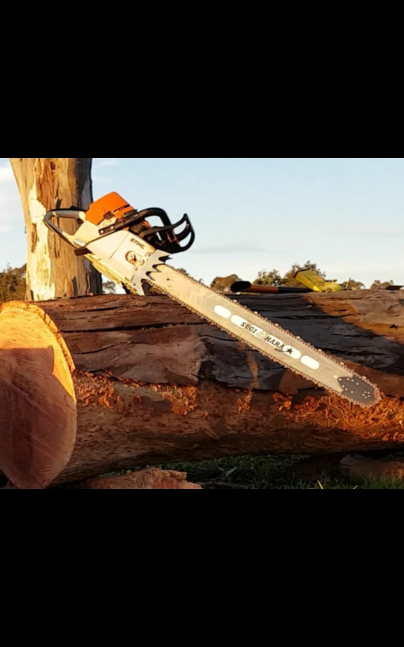 Name:  Screenshot_20221107-010241_Gallery.jpg
Views: 324
Size:  301.6 KB
