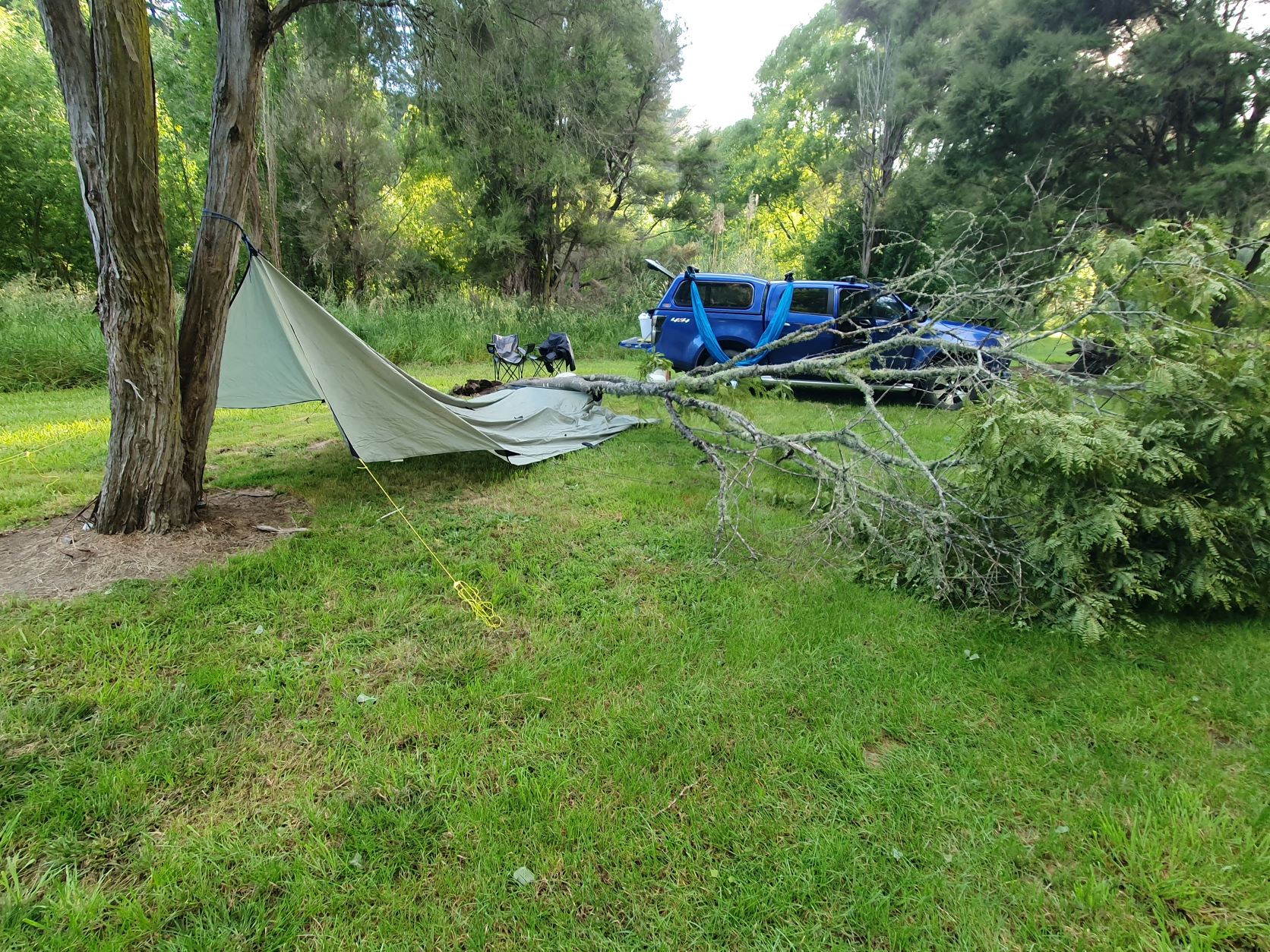 Name:  hammock down.jpg
Views: 556
Size:  670.7 KB