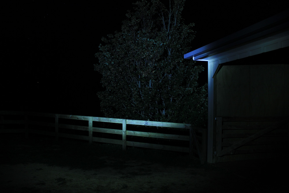 Name:  1-LEDLenser-1.JPG
Views: 838
Size:  129.4 KB