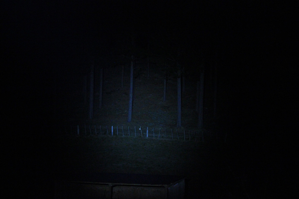Name:  2-LEDLenser-2.JPG
Views: 840
Size:  114.1 KB