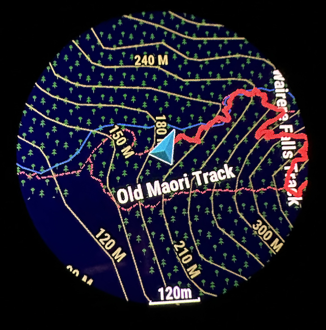 Name:  Epix2 TopoActive map night mode.jpg
Views: 715
Size:  517.9 KB