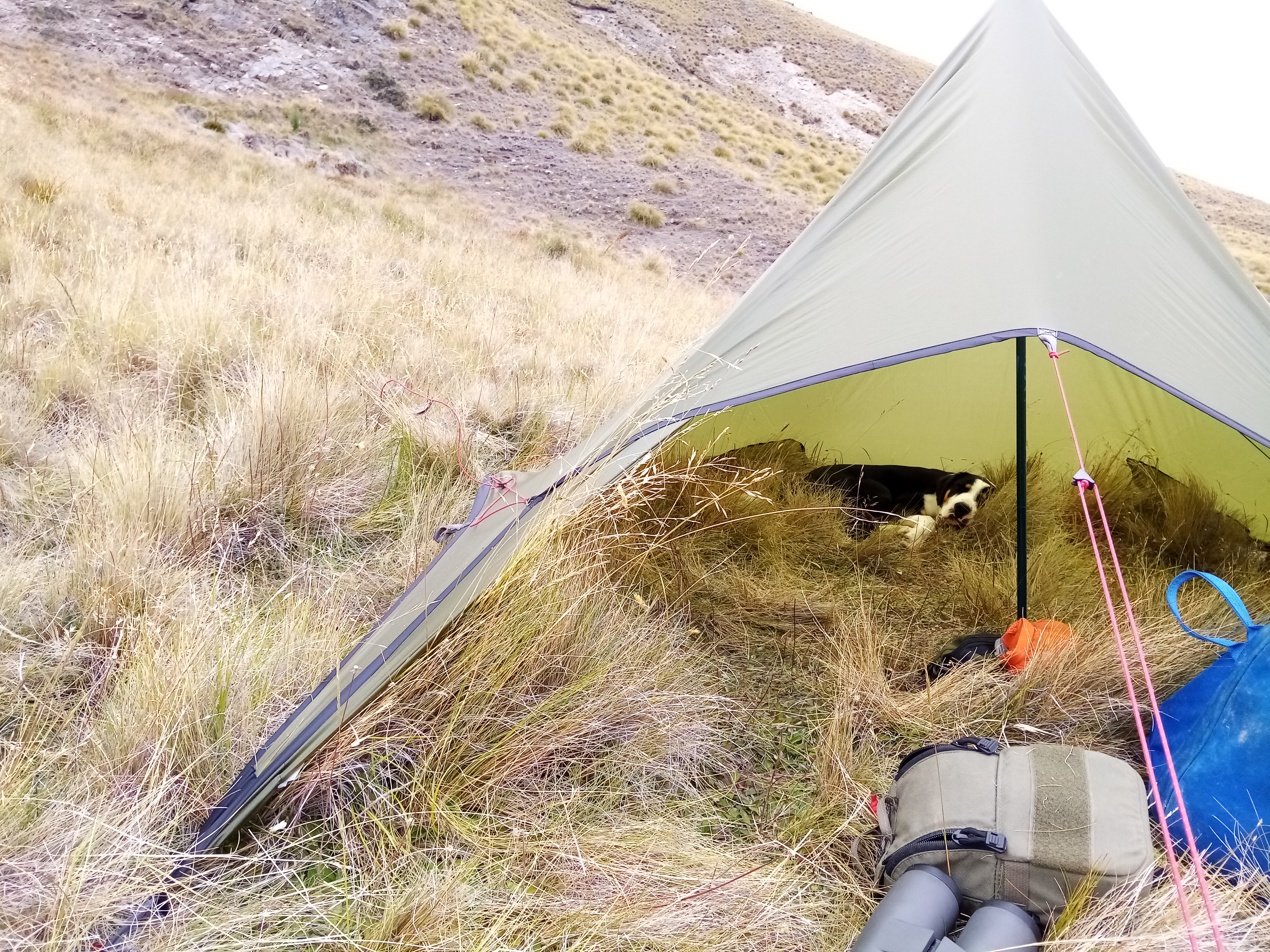 Siltarp 1 cheap