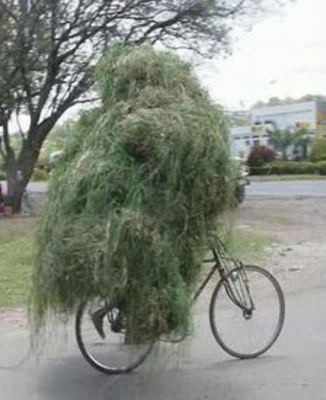 Name:  Ghillie.JPG
Views: 197
Size:  40.8 KB