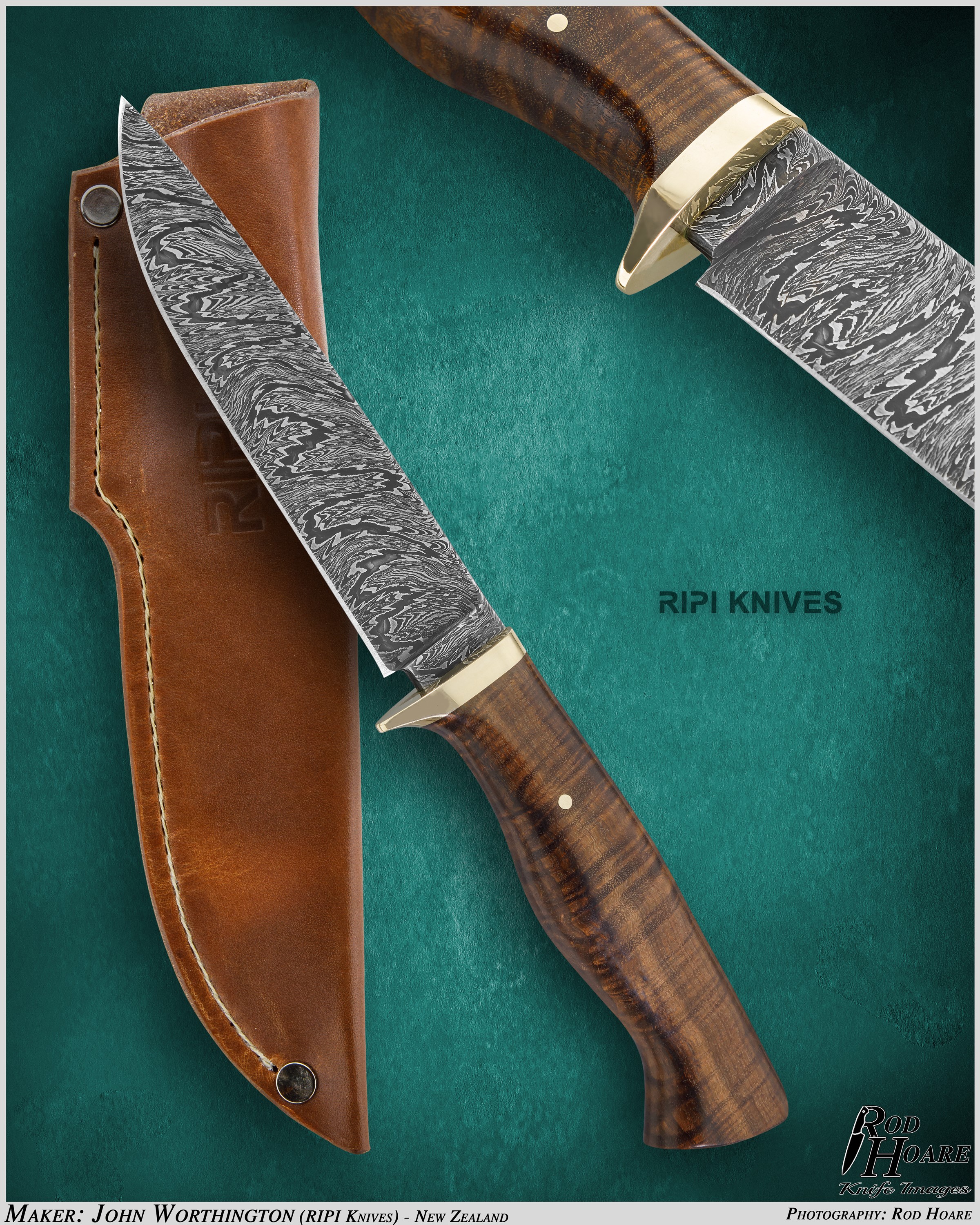 Name:  hunter.jpg
Views: 490
Size:  2.19 MB