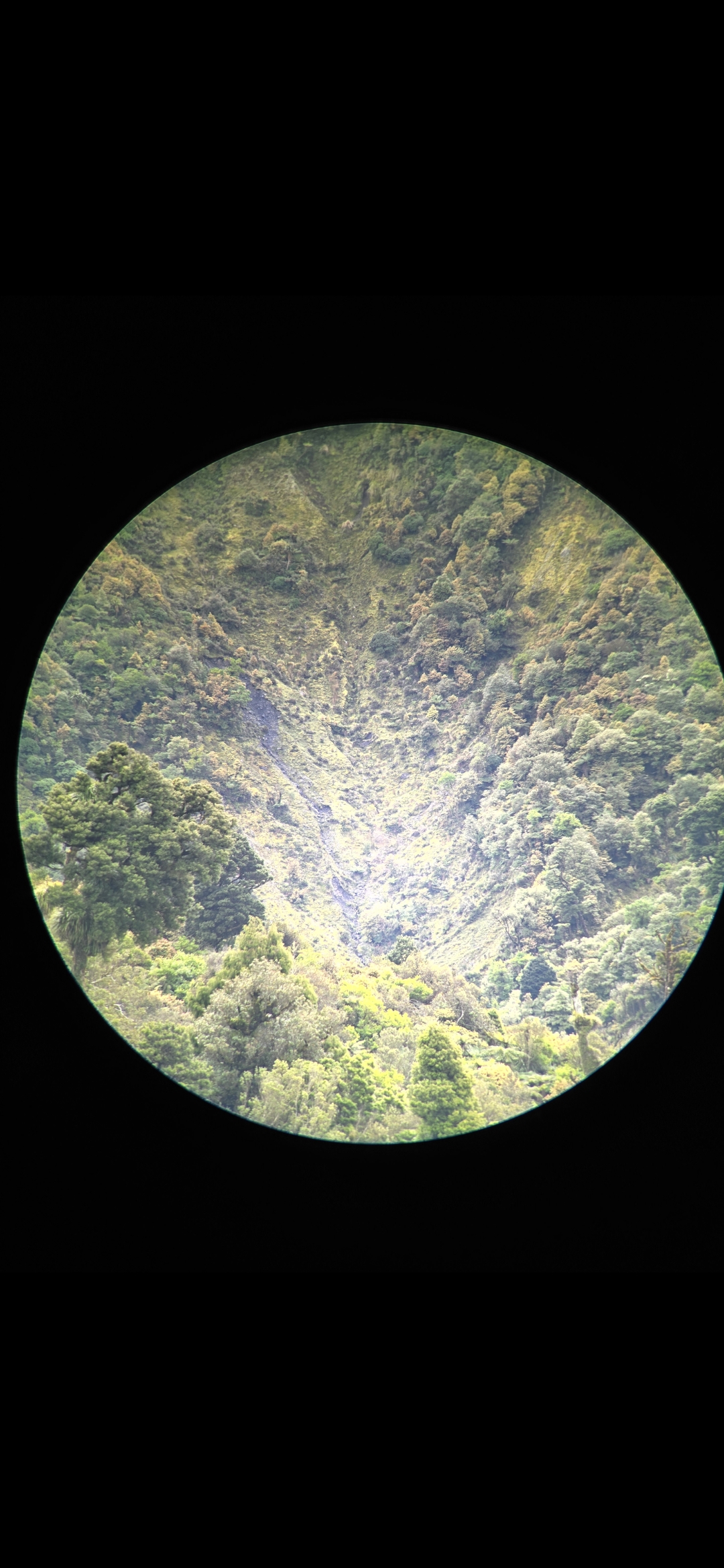Name:  Screenshot_20241011_095107_Gallery.jpg
Views: 189
Size:  1.01 MB