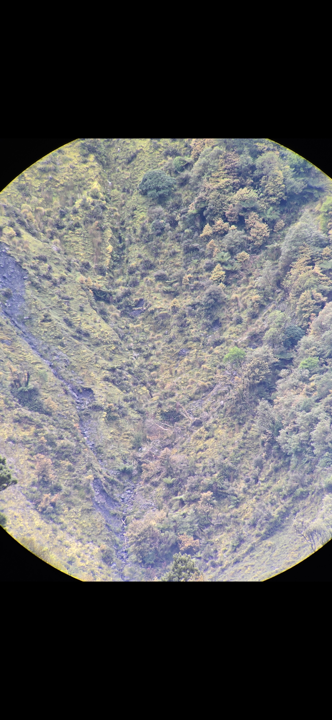Name:  Screenshot_20241011_095039_Gallery.jpg
Views: 164
Size:  1.44 MB