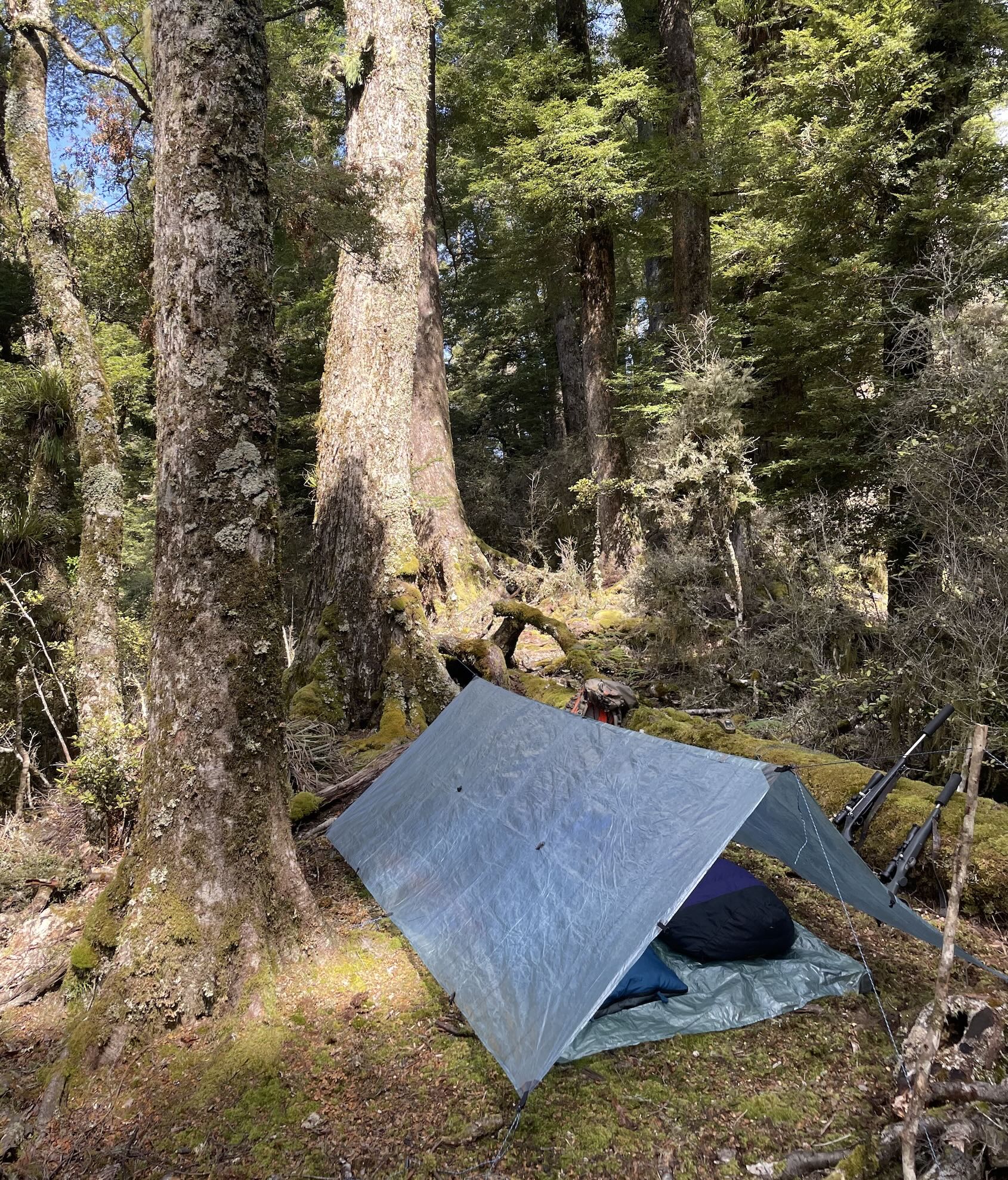 Name:  tarp.jpg
Views: 286
Size:  1.08 MB