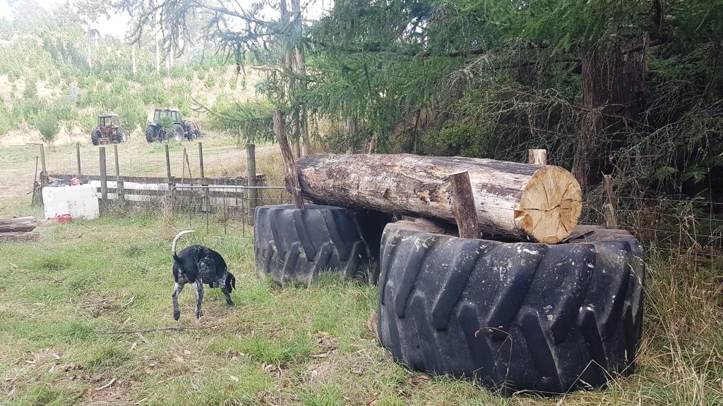 Name:  2Tyres.jpg
Views: 285
Size:  177.3 KB