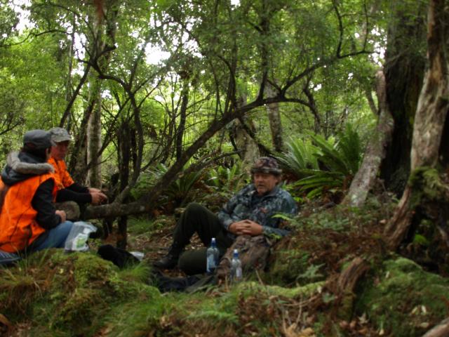 Name:  StewartIsland_zps5e179fcf.jpg
Views: 2141
Size:  66.8 KB