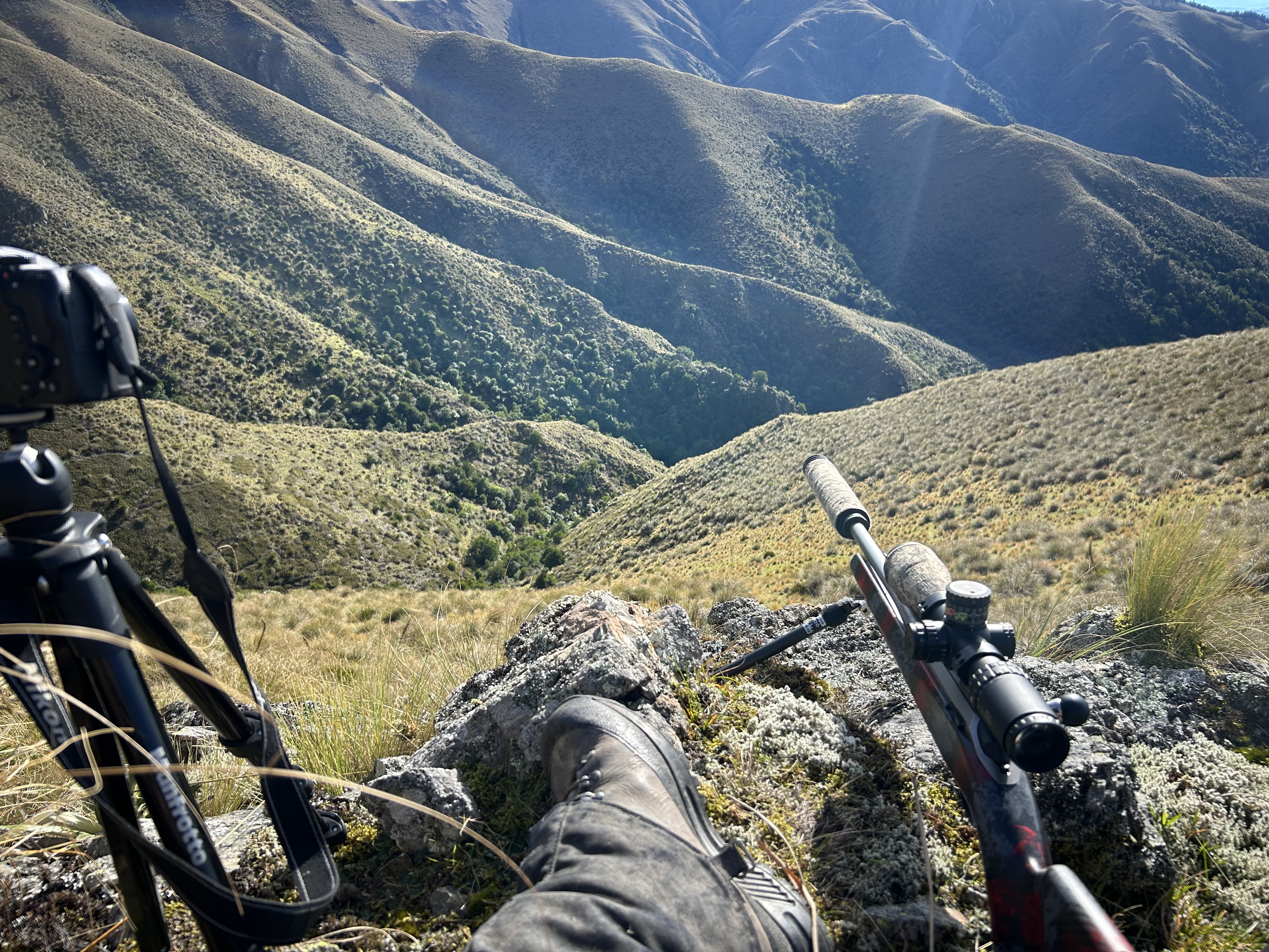 Name:  IMG_8152.jpeg
Views: 135
Size:  4.83 MB