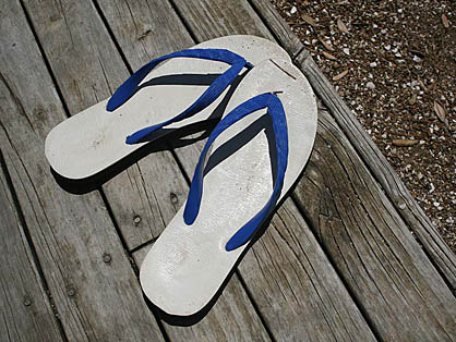 Name:  jandals.jpg
Views: 422
Size:  71.2 KB