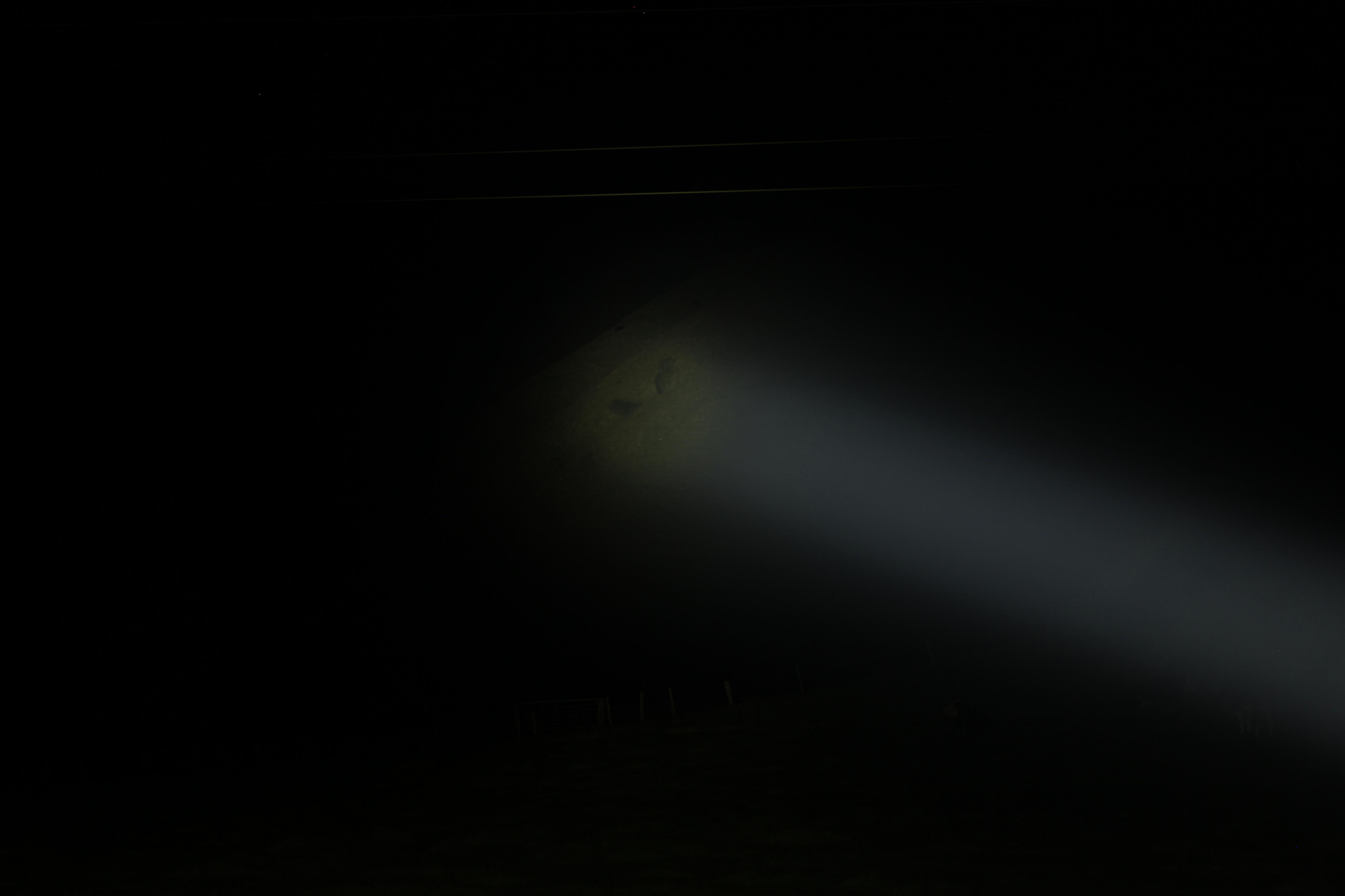 Name:  2x-800m.jpg
Views: 793
Size:  321.1 KB
