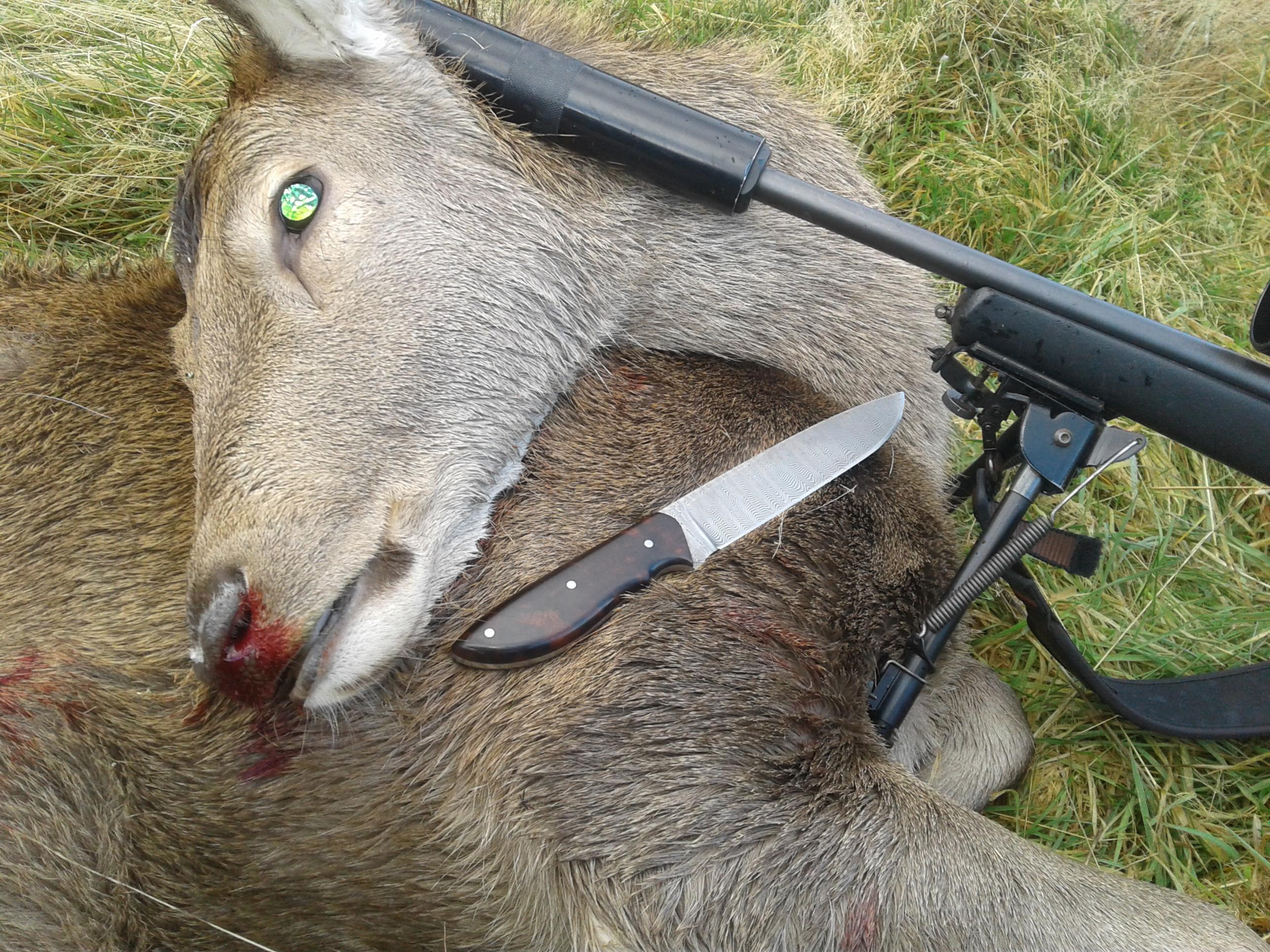 Name:  josefs knife .jpg
Views: 929
Size:  951.7 KB