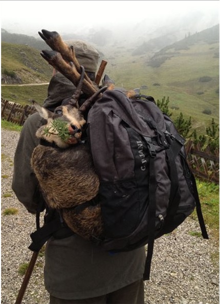 Name:  Deuter Carjani.jpg
Views: 226
Size:  91.6 KB