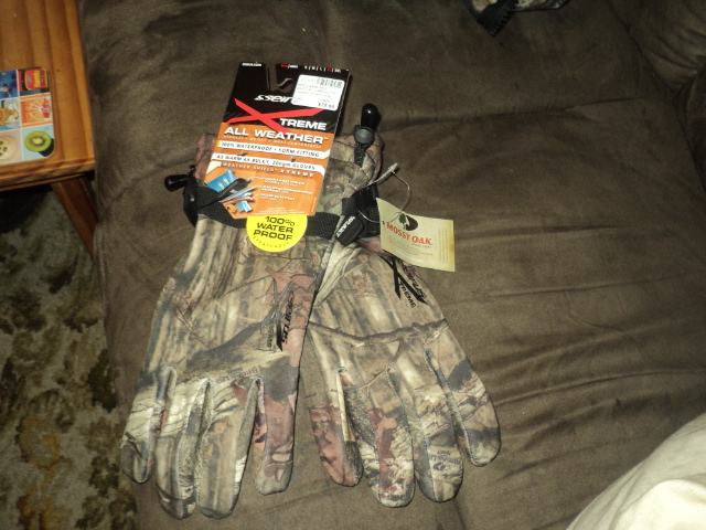 Name:  picture 01 920.jpg
Views: 420
Size:  163.8 KB