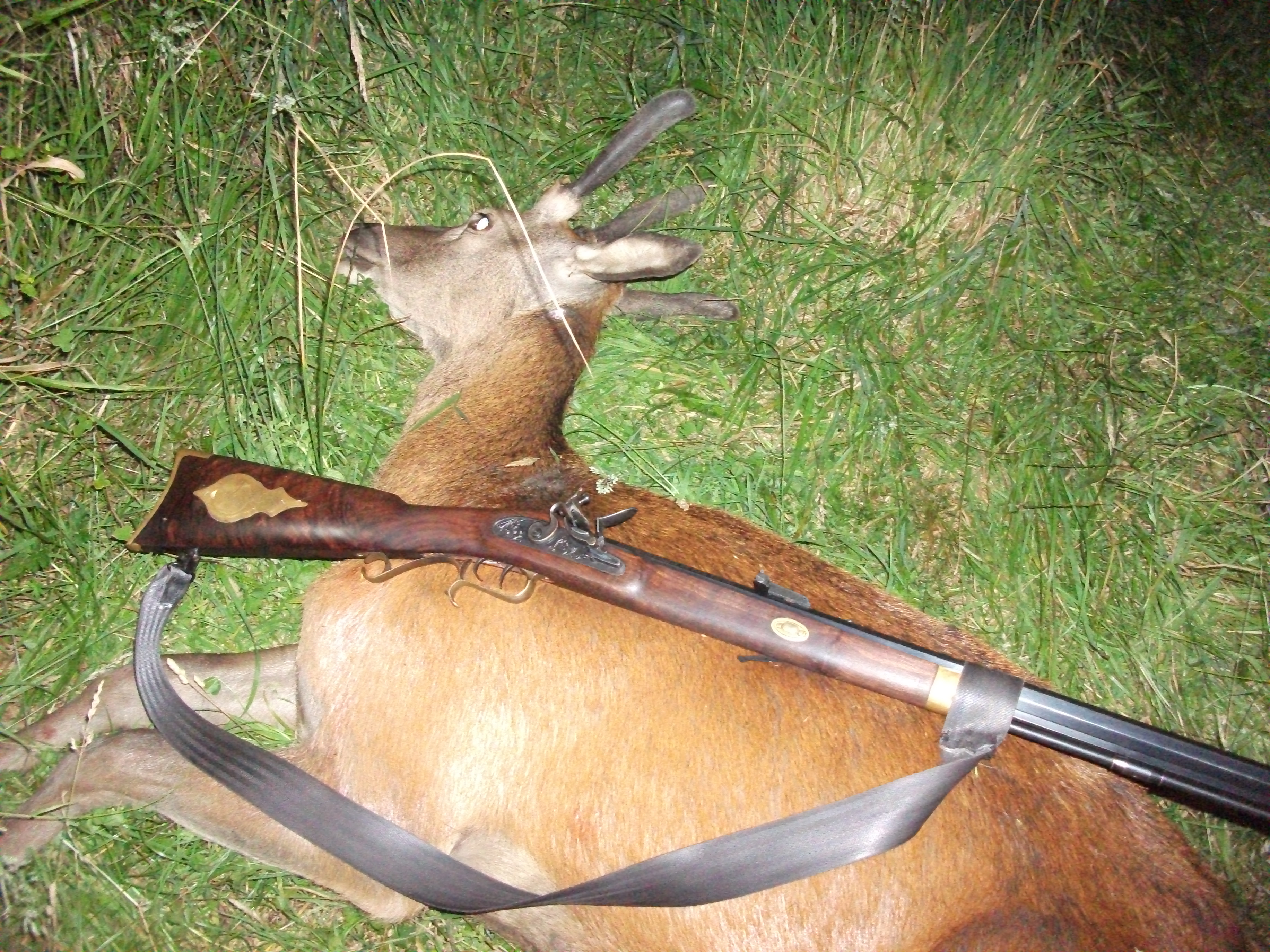 Name:  93940d1535337658-flintlock-shooter-dscf2330.jpg
Views: 4428
Size:  2.64 MB