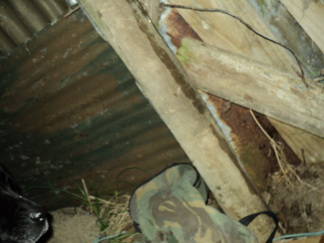Name:  picture 1705.jpg
Views: 333
Size:  164.9 KB