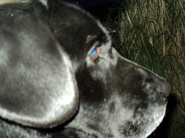 Name:  picture 1709.jpg
Views: 576
Size:  161.6 KB