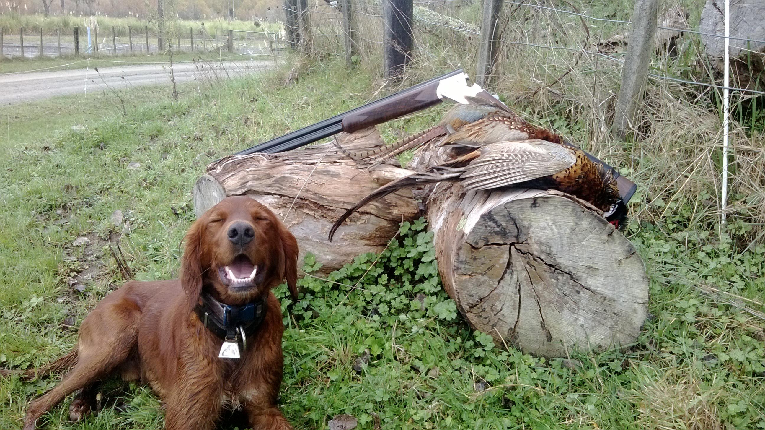 Name:  WP_20130521_008[1].jpg
Views: 242
Size:  803.4 KB
