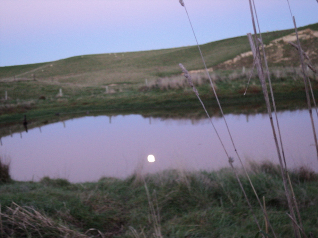 Name:  picture 1725.jpg
Views: 274
Size:  165.2 KB