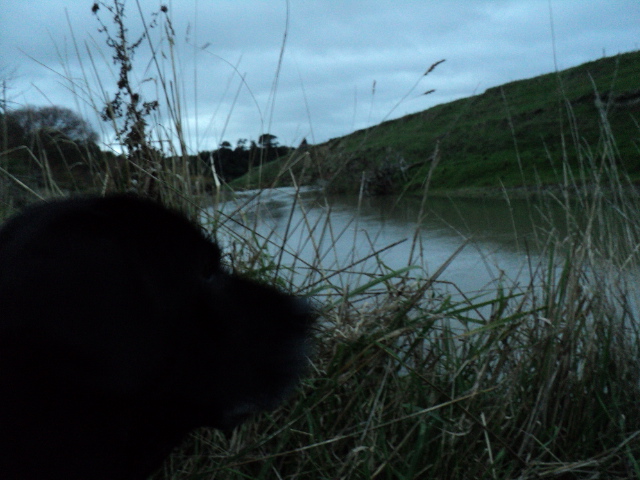 Name:  picture 1737.jpg
Views: 275
Size:  161.7 KB