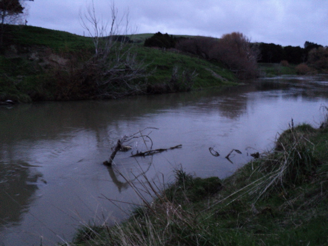 Name:  picture 1738.jpg
Views: 337
Size:  163.3 KB