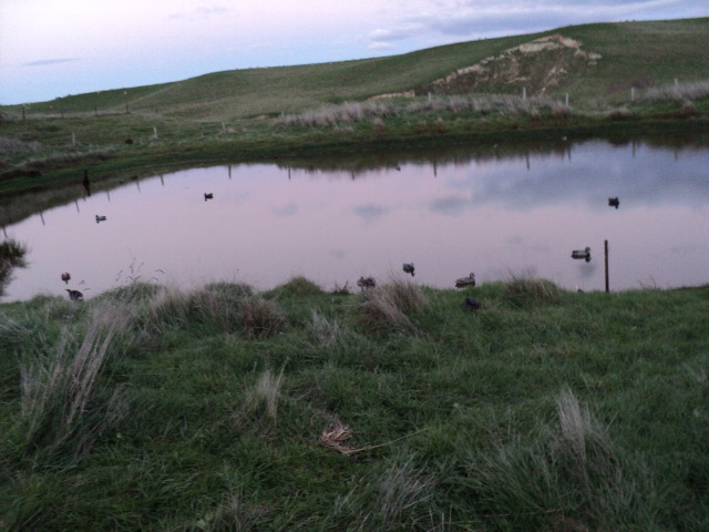 Name:  picture 1750.jpg
Views: 286
Size:  163.5 KB