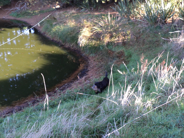 Name:  picture 1718.jpg
Views: 294
Size:  163.9 KB