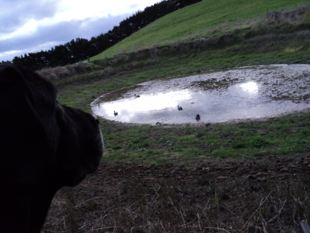 Name:  picture 1758.jpg
Views: 267
Size:  164.8 KB