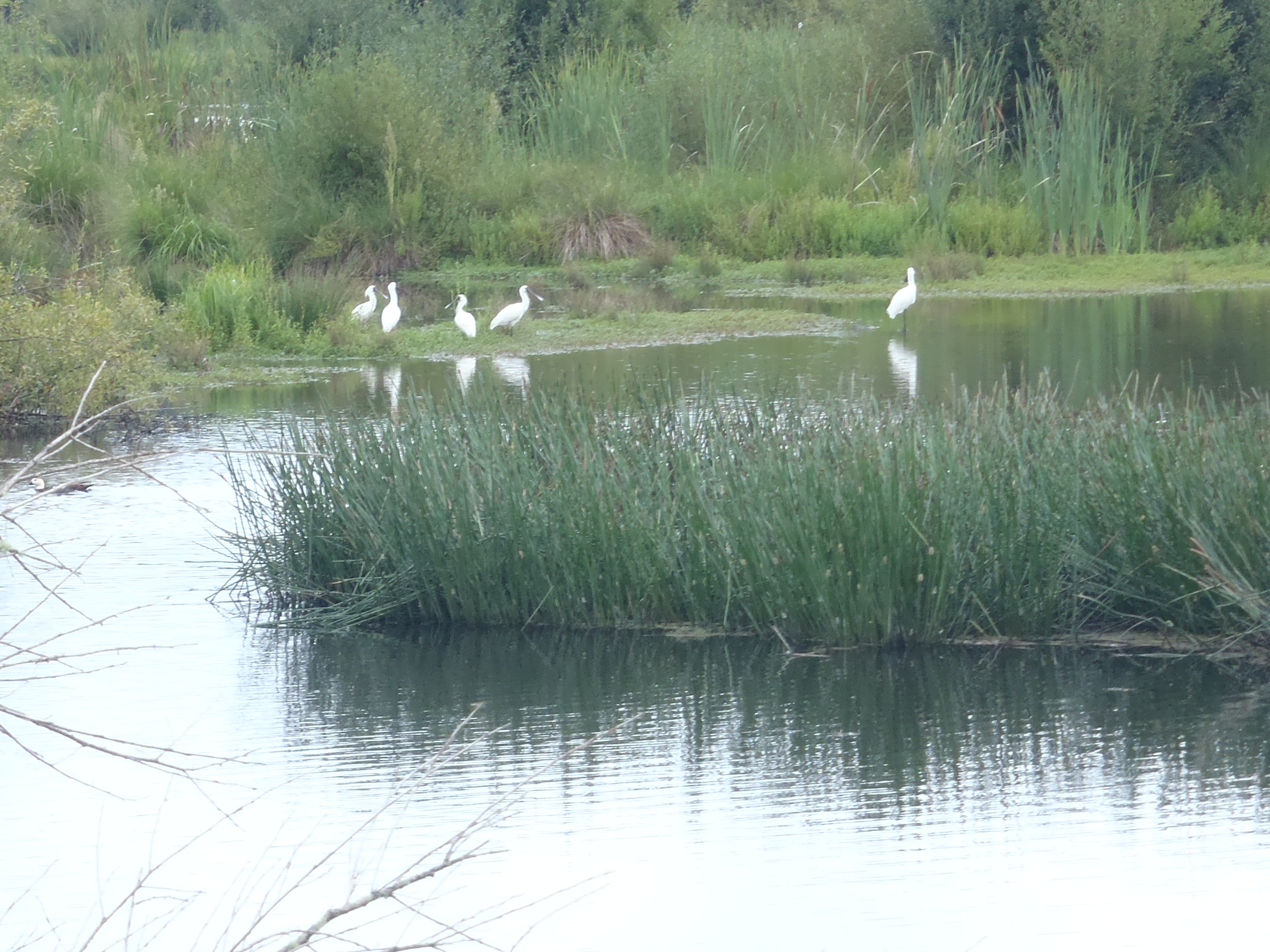 Name:  P2220005.JPG
Views: 296
Size:  3.23 MB