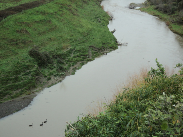 Name:  picture 1772.jpg
Views: 228
Size:  163.9 KB
