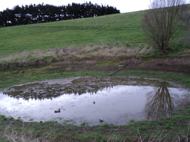 Name:  picture 1786.jpg
Views: 404
Size:  165.0 KB