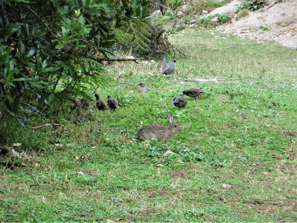 Name:  IMG_5998 (2) 2.JPG
Views: 144
Size:  1.18 MB