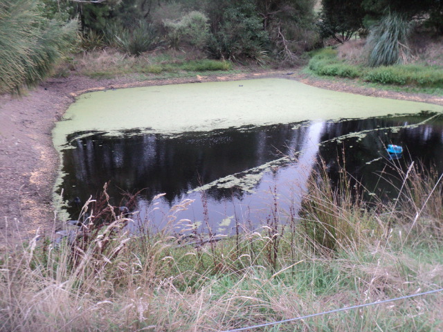 Name:  picture 01 3020.jpg
Views: 354
Size:  164.2 KB