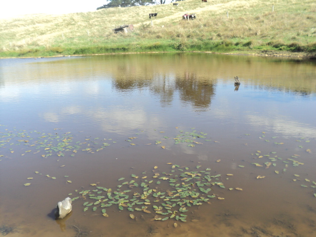 Name:  picture 01 3021.jpg
Views: 343
Size:  163.3 KB