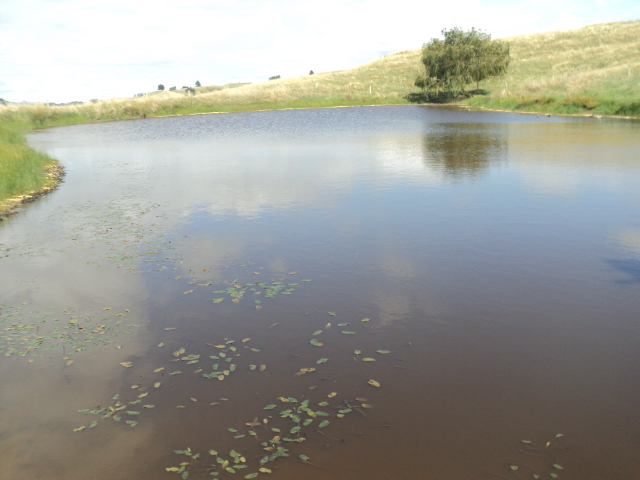 Name:  picture 01 3022.jpg
Views: 330
Size:  161.4 KB
