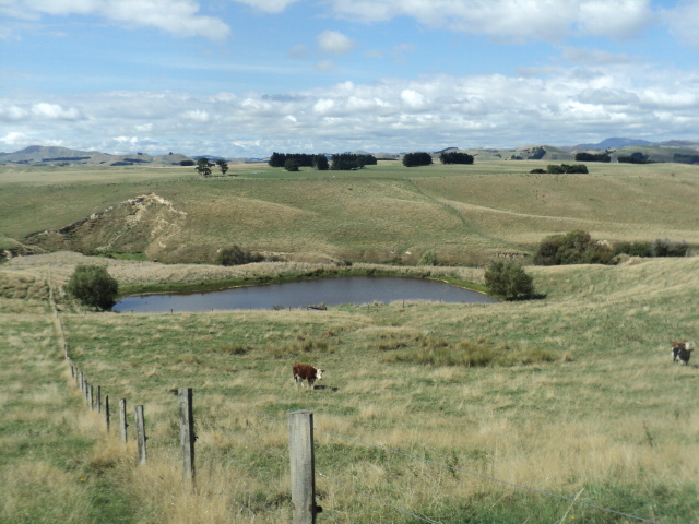 Name:  picture 01 3023.jpg
Views: 334
Size:  164.4 KB