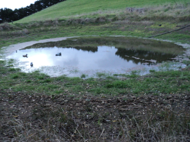 Name:  picture 1856.jpg
Views: 276
Size:  163.2 KB