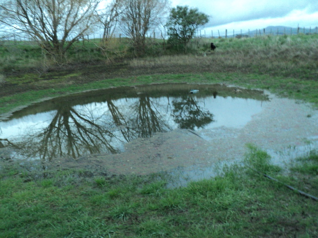 Name:  picture 1855.jpg
Views: 250
Size:  162.2 KB