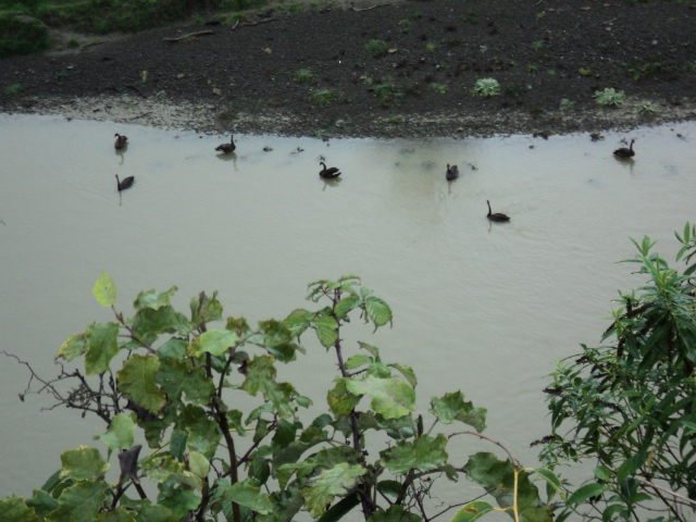 Name:  picture 1871.jpg
Views: 252
Size:  165.1 KB